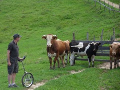 charrette et monocycles