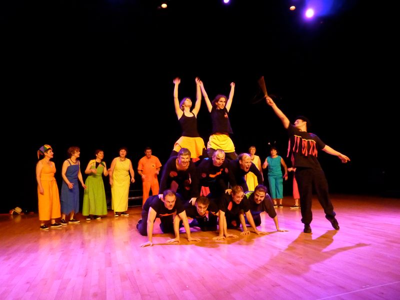 les panthères roses