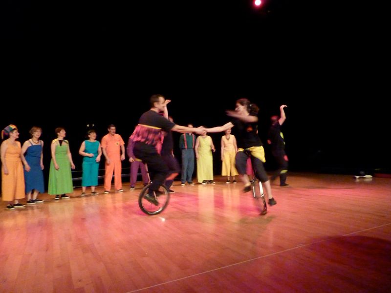 le rock des gallinacées