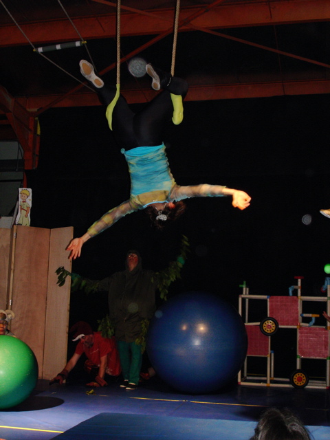 la Rose (Petit Prince)